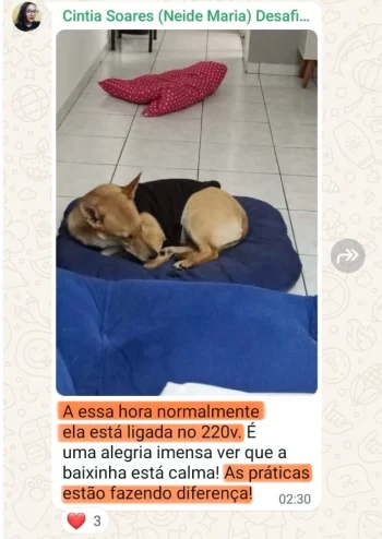 01-cintia soares-neide-maria-whatsapp