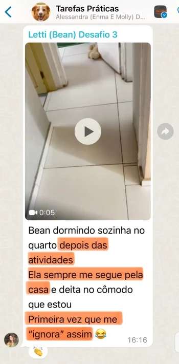 04-letti-bean-whatsapp