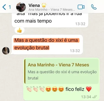 07-ana-marinho-viena-whatsapp