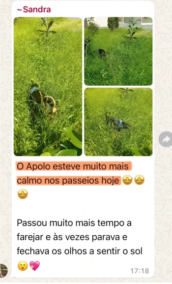 10-sandra-apolo-whatsapp