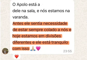 11-sandra-apolo-whatsapp