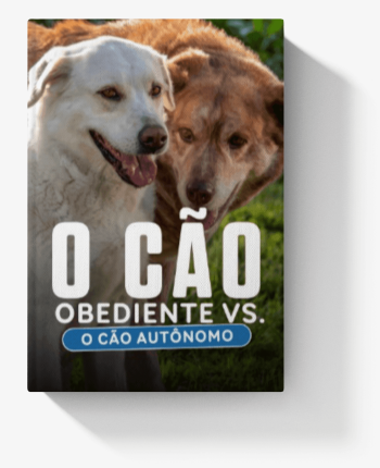 E-book-Exclusivo-sobre-Obediencia-Canina.png