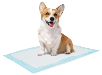 dog-pee