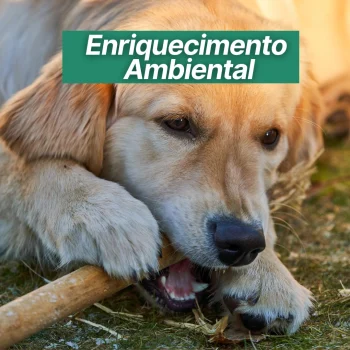 plano-continuidade